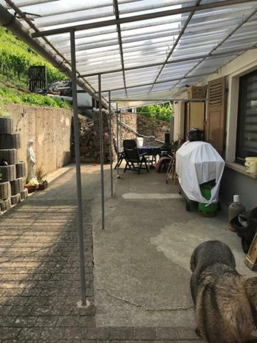 Apartamento Ferienwohnung Kastor