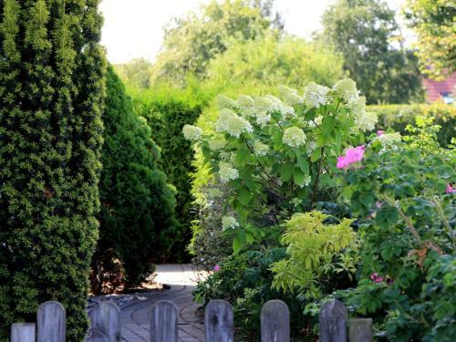 Comfortable Apartment In Insel Poel With Sauna