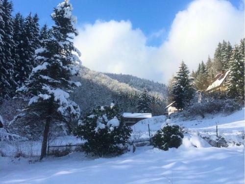Apartment Herzberg Im Harz