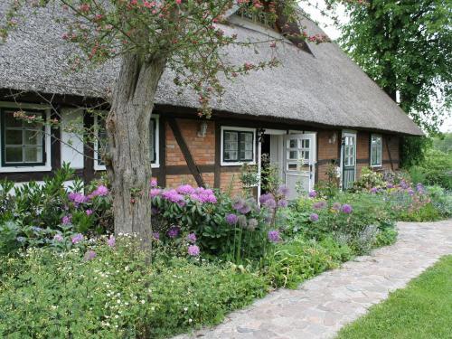 Quaint Apartment In Reddelich With Sauna