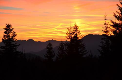 Hotel Winklmoos Sonnenalm