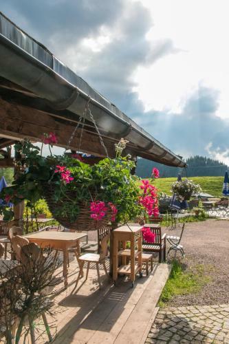 Hotel Winklmoos Sonnenalm