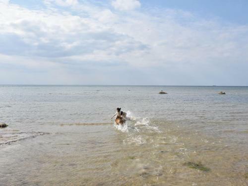 Das Wei�e Strandhaus Mit Kamin