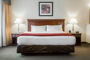 Hotel Comfort Suites South Burlington