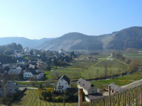 Cozy Apartment In Neumagen-dhron With Garden