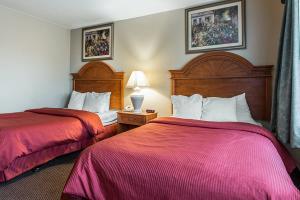Hotel Clarion Inn & Suites