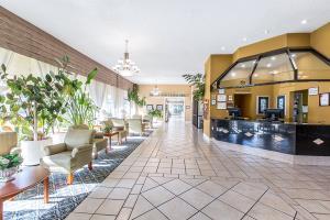 Hotel Clarion Inn & Suites