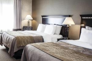 Hotel Comfort Inn Seekonk