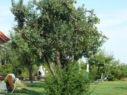 Pleasant Holiday Home In Malchow Near The Beach