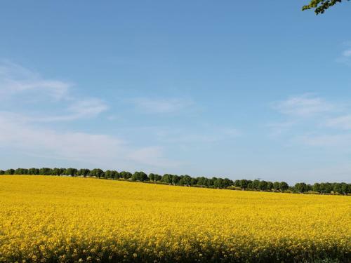 Urlaub Im Rosengarten Xl