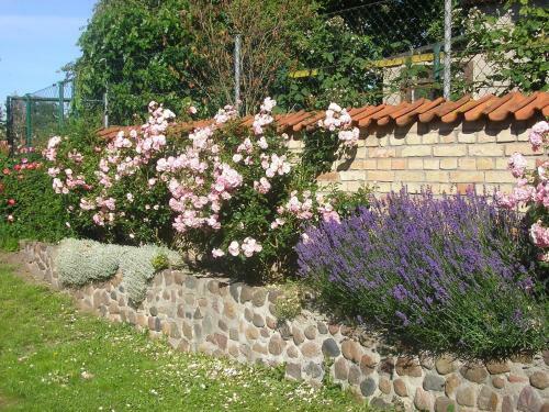 Urlaub Im Rosengarten Xl