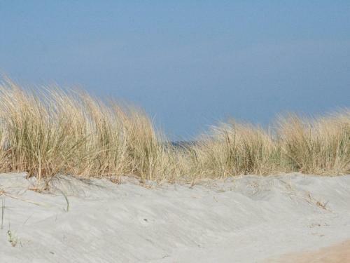Beautiful Bungalow In Kropelin Near Sea