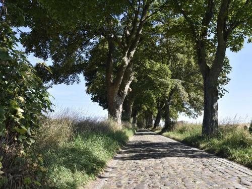 Apartamento Kleines Schloss Sophie