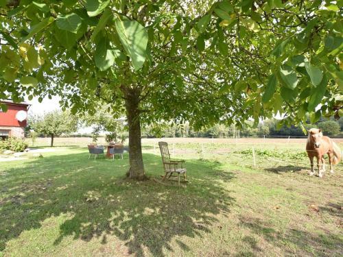 Modern Apartment In Pugholz With Terrace
