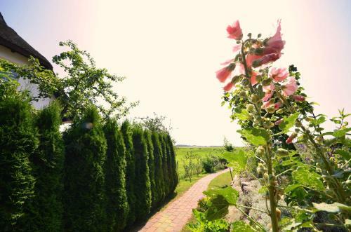 Apartamento Ferienwohnung-sonnenkliff-in-gross-zicker-halbinsel-moenchgut