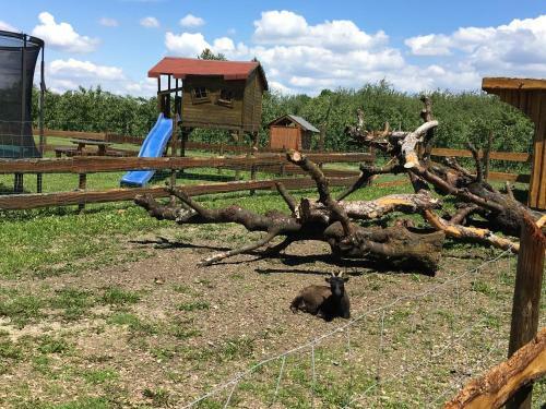 Apartamento Ferienhof Waggershauser