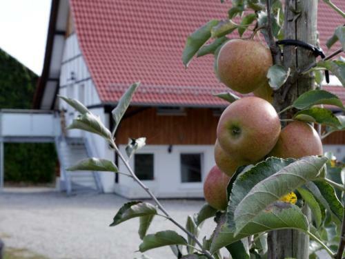 Apartamento Ferienhof Waggershauser