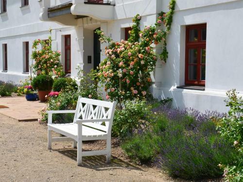 Modern Apartment In Satow With Garden