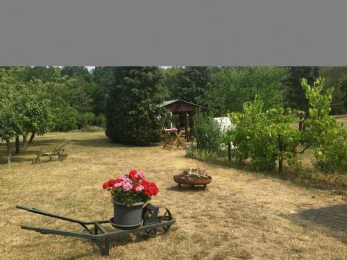 Fascinating Apartment With Patio, Terrace, Garden, Barbecue