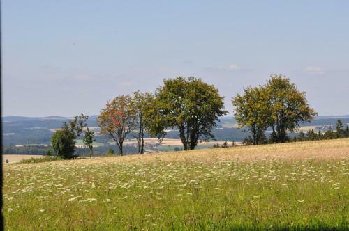 Ferienhaus Schw�rzer