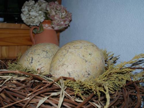 Comfortable Apartment In Dargun Mecklenburg With Garden