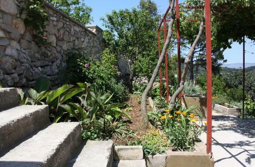 Apartment Sobra 4926b