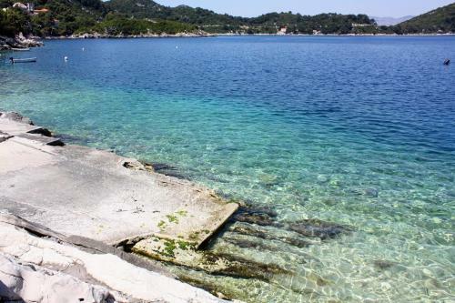 Apartments With A Parking Space Sobra (mljet) - 4926