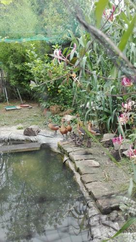 Agroturismo Farm Stay Lackovic