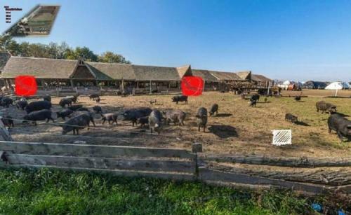 Agroturismo Farm Stay Orlov Put