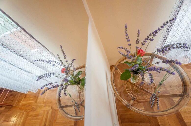 Apartments In Bozava/insel Dugi Otok 7831
