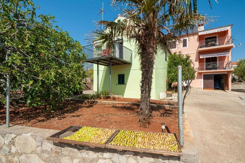 Apartments In Bozava/insel Dugi Otok 7831