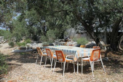 Apartments With A Parking Space Bozava (dugi Otok) - 8123