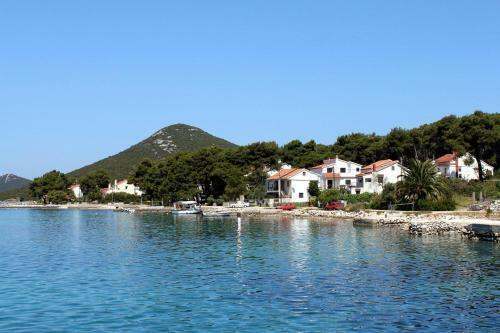 Apartments By The Sea Brgulje (molat) - 6241