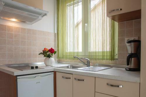 Apartments Villa Korina