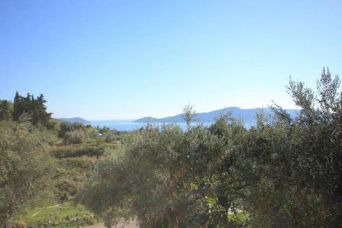 Apartamentos Studio Brsecine 8541a