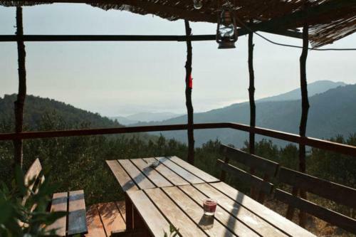 Secluded House With A Swimming Pool Brusje (hvar) - 12493