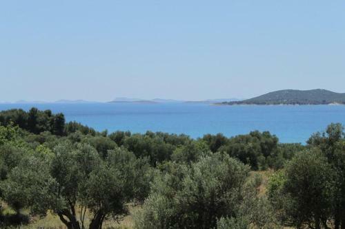 Apartment Biograd Na Moru 6438b