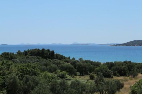 Apartment Biograd Na Moru 6438a