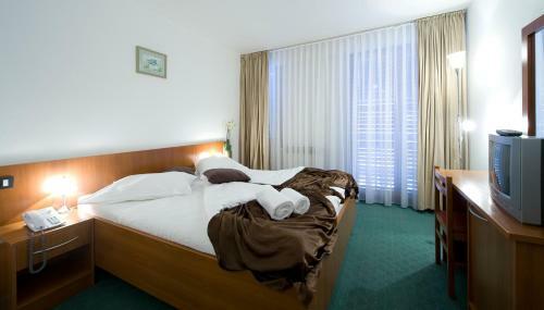 Hotel Terme Jezercica