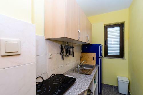 Apartments Leme?