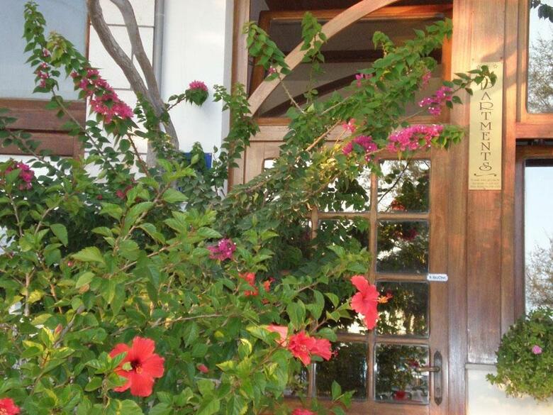 Apartamento Holiday Home Drasnice (3586)