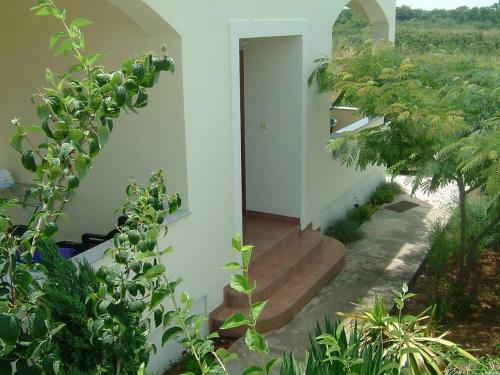 Apartment Zaton 13596b
