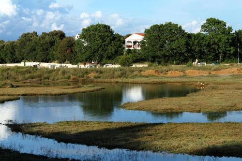 Apartamentos Studio Zaton 298a