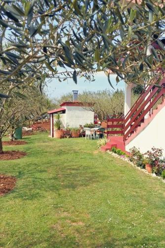 Apartamentos Studio Zaton 298a