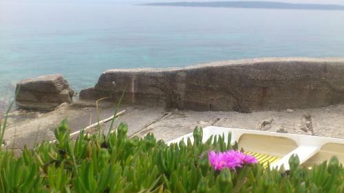 Holiday Home Rubini?