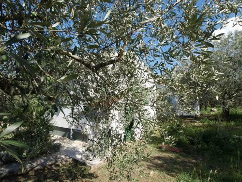 Holiday Home Silvana
