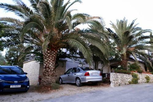 Apartments With A Parking Space Zdrelac (pasman) - 8514