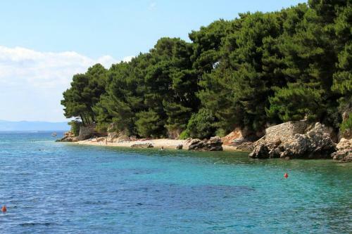 Apartment Zivogosce - Mala Duba 6887b