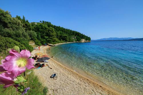 Holiday House Zorra