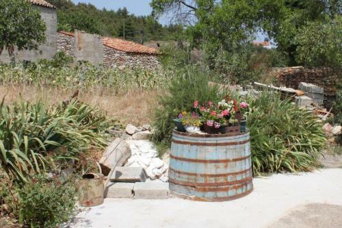 Apartments With A Parking Space Zman (dugi Otok) - 449